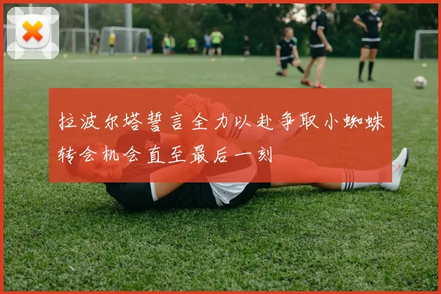 拉波尔塔誓言全力以赴争取小蜘蛛转会机会直至最后一刻